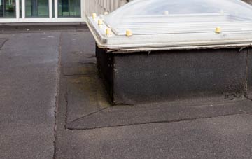 disadvantages of Dapple Heath flat roofs
