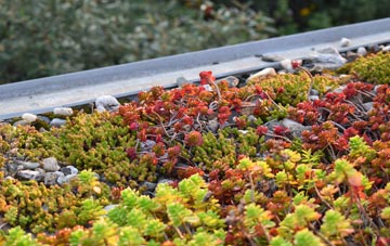 the cost of Dapple Heath green roof installation