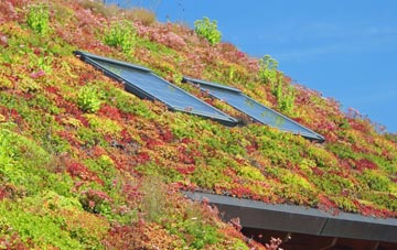 Dapple Heath living roof systems
