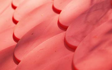 Dapple Heath plastic roof costs