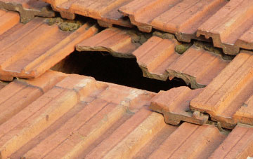 roof repair Dapple Heath, Staffordshire