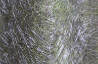 Dapple Heath fibreglass roof work